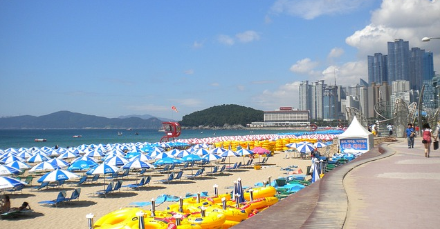 2030 세대를 위한 해운대 부동산 가이드 관련 사진