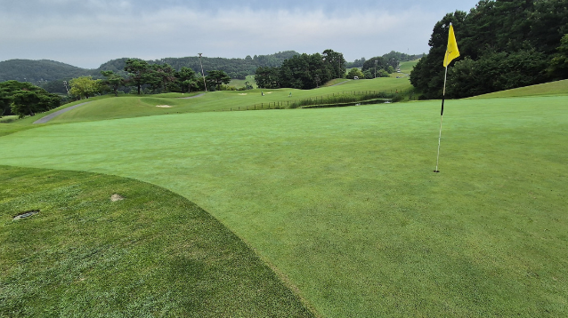 한림용인 CC 사진3