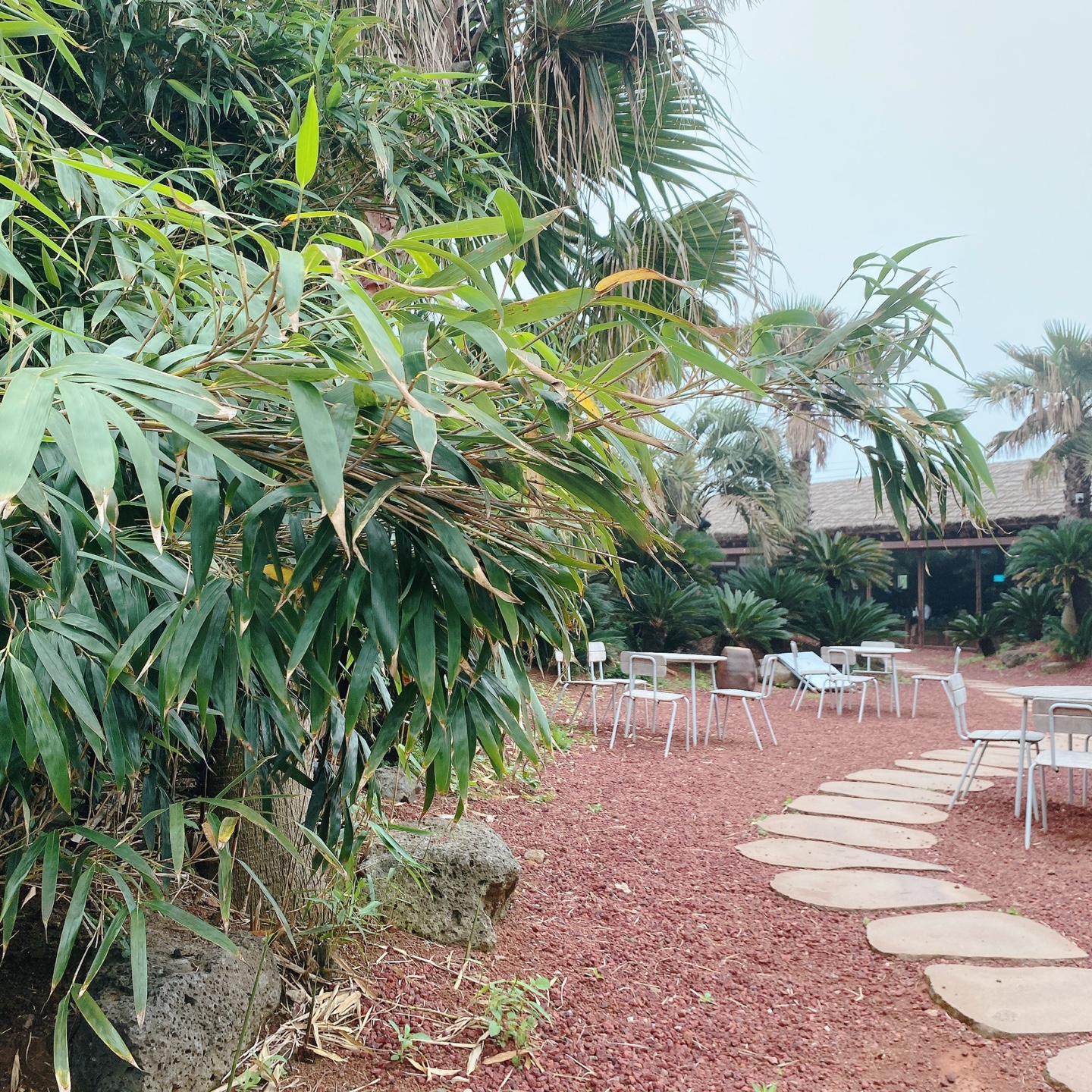 제주 서귀포 대정 서림연대 인스밀 곡물창고 개조카페 in's mill 보리개역 보리 청보리 제주 특산물