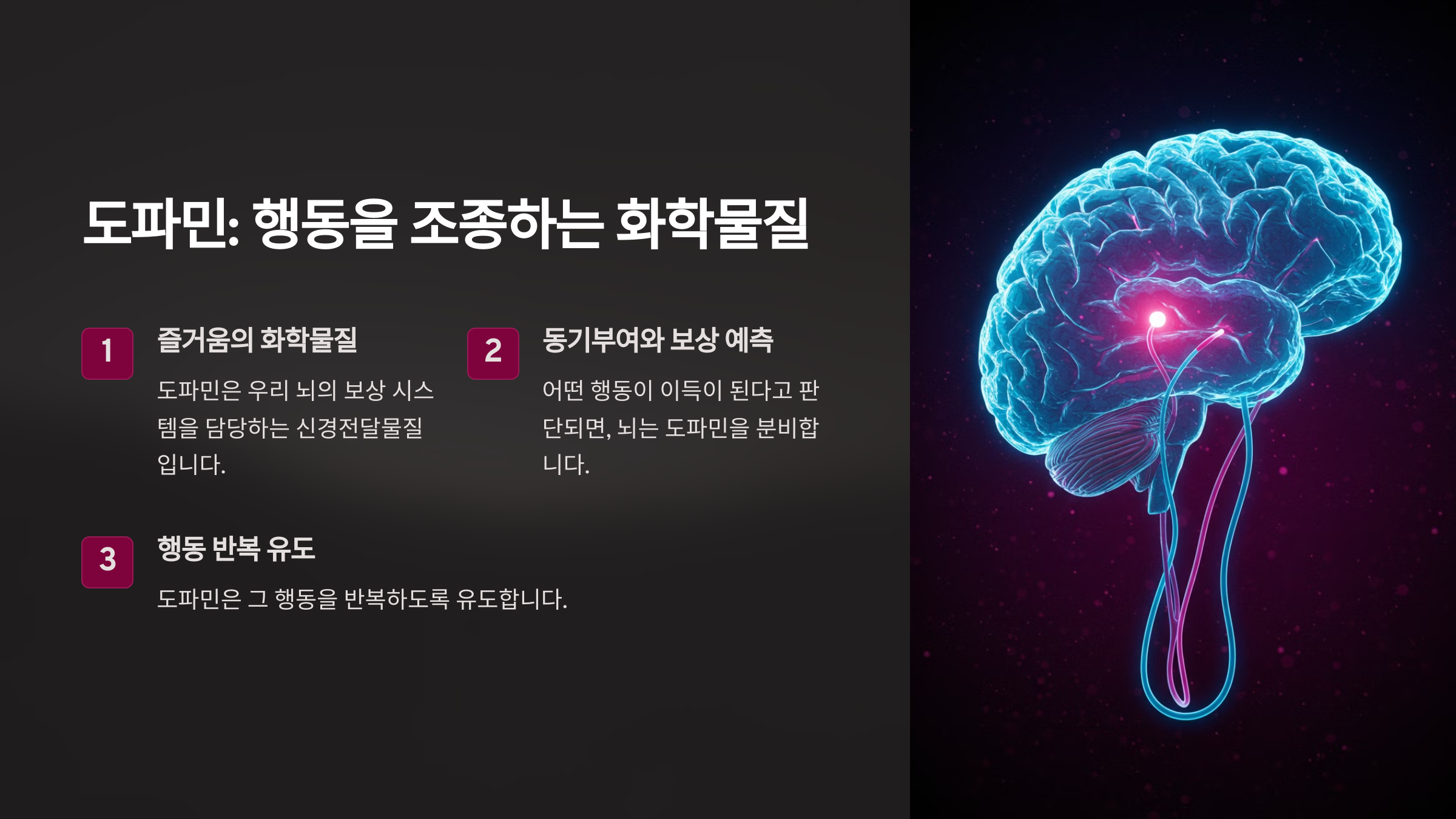 🧠 도파민이란? 우리의 행동을 조종하는 신경전달물질