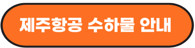 국내선 기내 반입 금지 물품 알아보기
