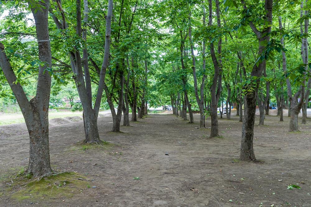 충북 금관숲캠핑장 소개