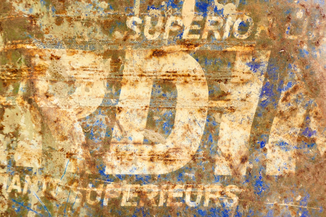 Subsidy