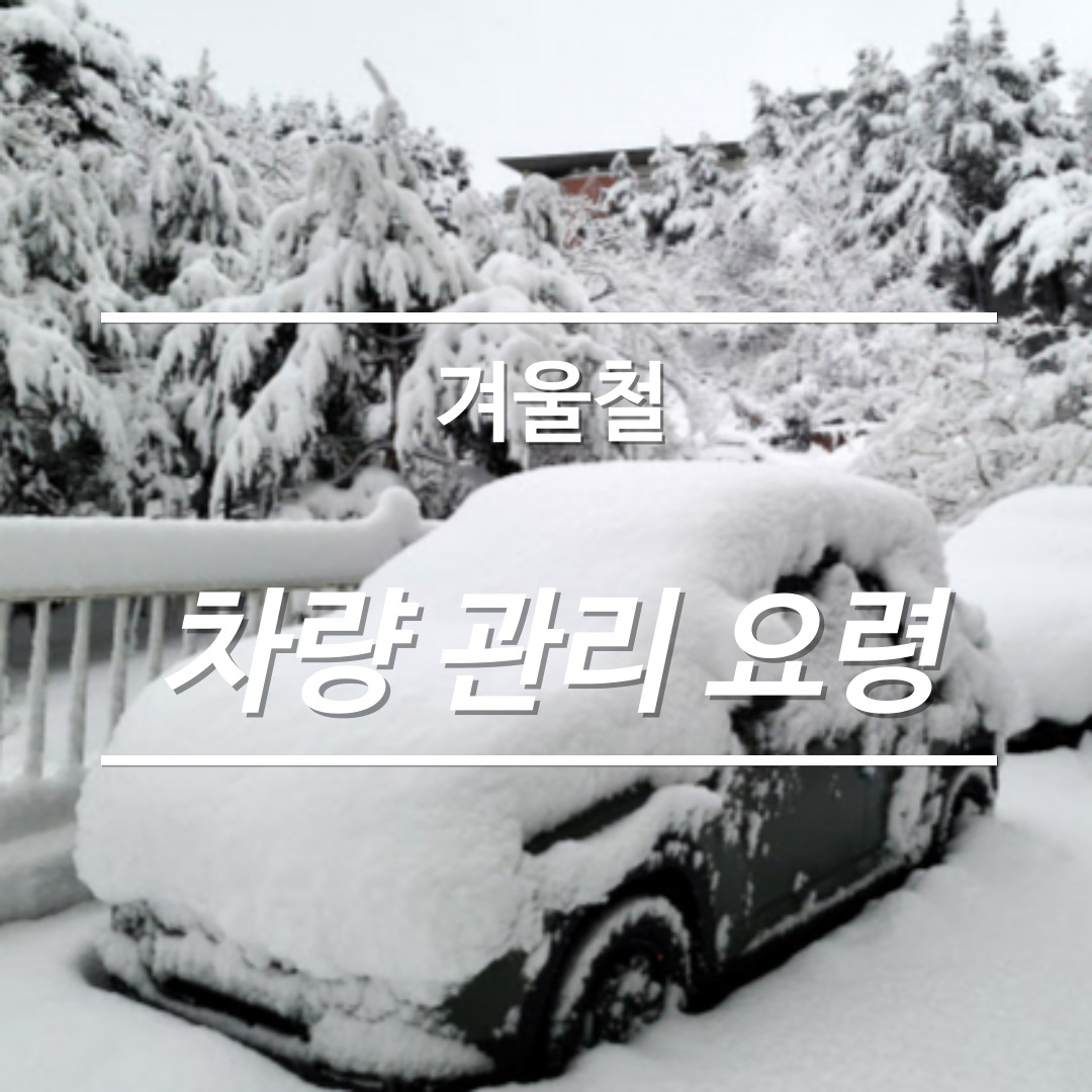 한량, 한량시대, 지적한량, 겨울, 차량, 겨울철 차량관리 요령