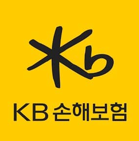 KB 손해보험