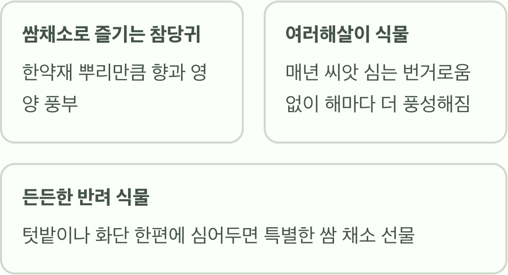한약재 아닌 쌈채소? 당귀잎의 매력