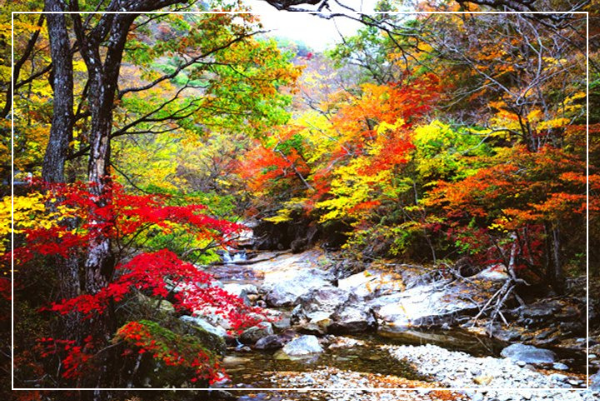 지리산 피아골 이미지 / 출처: 하나투어