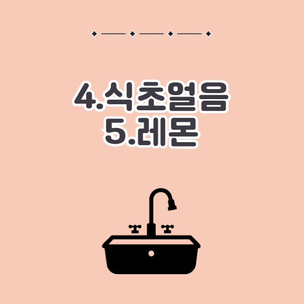 싱크대 냄새 잡는 법, 식초얼음과 레몬