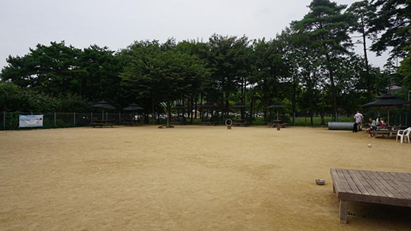 월드컵공원 반려견놀이터