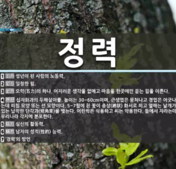 남성-성기능-개선1