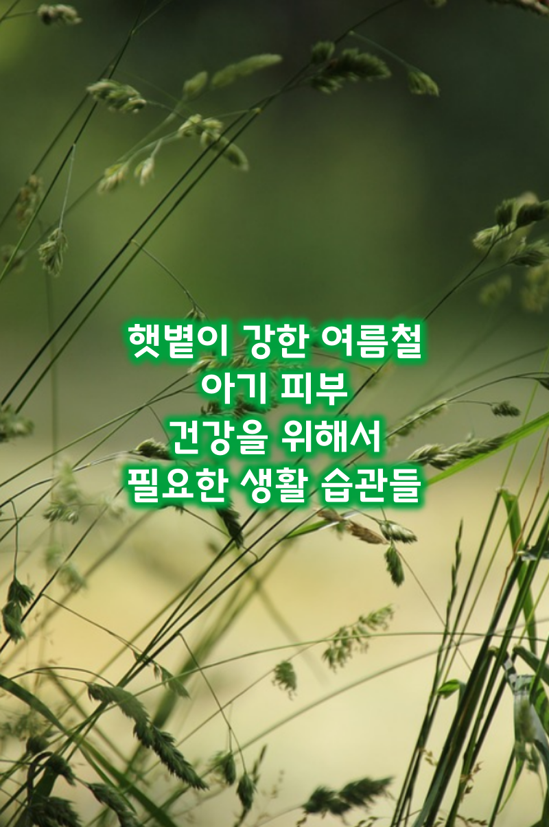 아기피부건강