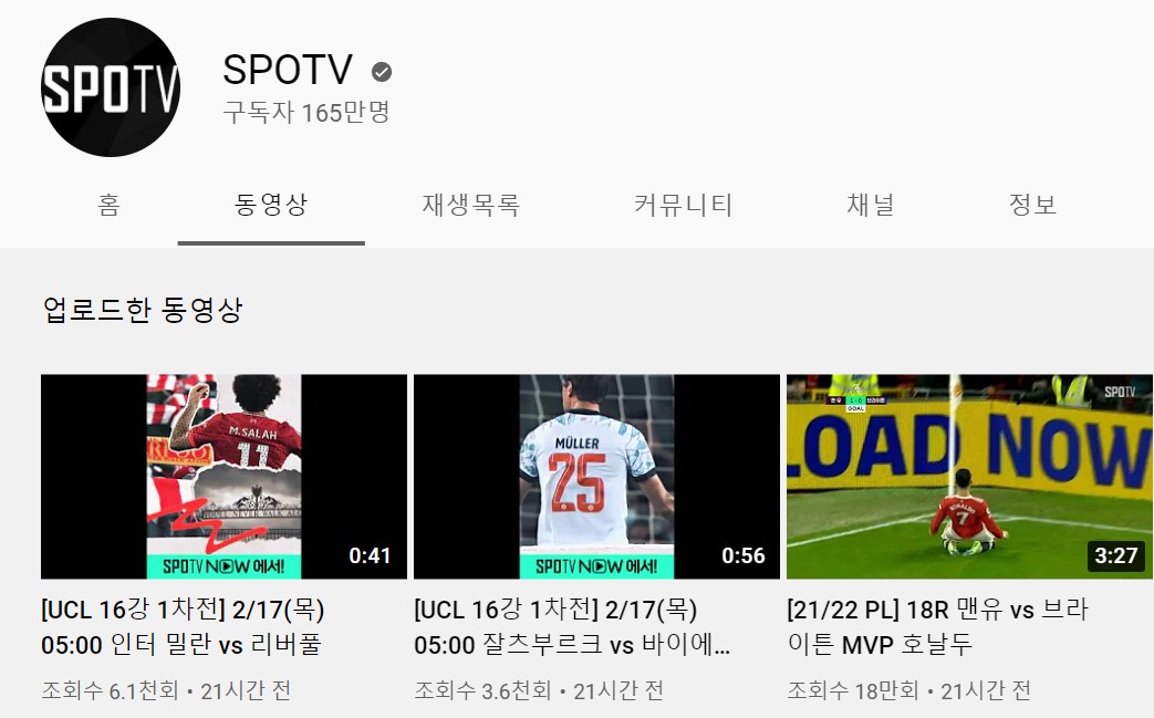 스포티비-손흥민