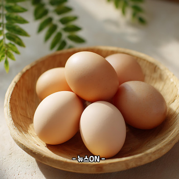 비타민A가 많은 음식