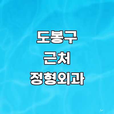 서울 도봉구 정형외과