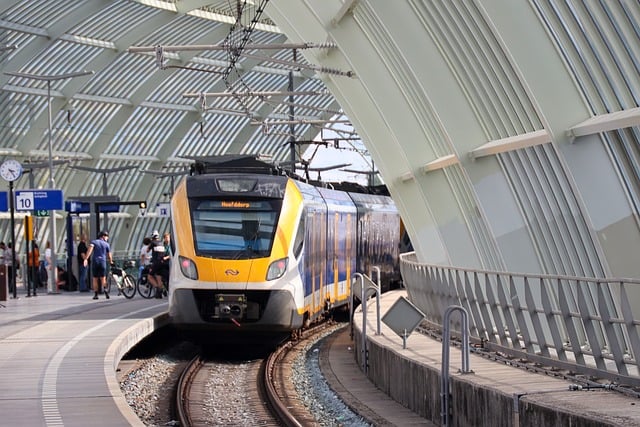 srt와 비슷한 모양의 기차