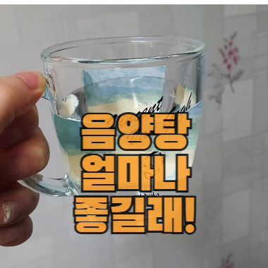 음양탕 얼마나 좋길래!