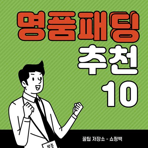 명품 패딩 추천 BEST 10 (여자 숏패딩&#44; 푸퍼 자켓 모음.ZIP)