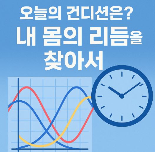 2026 맞벌이 부부 건강관리 (리듬, 회복, 균형)