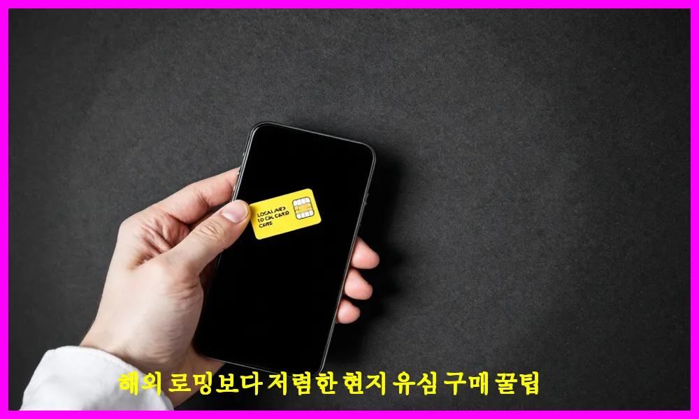 해외 로밍보다 저렴한 현지 유심 구매 꿀팁