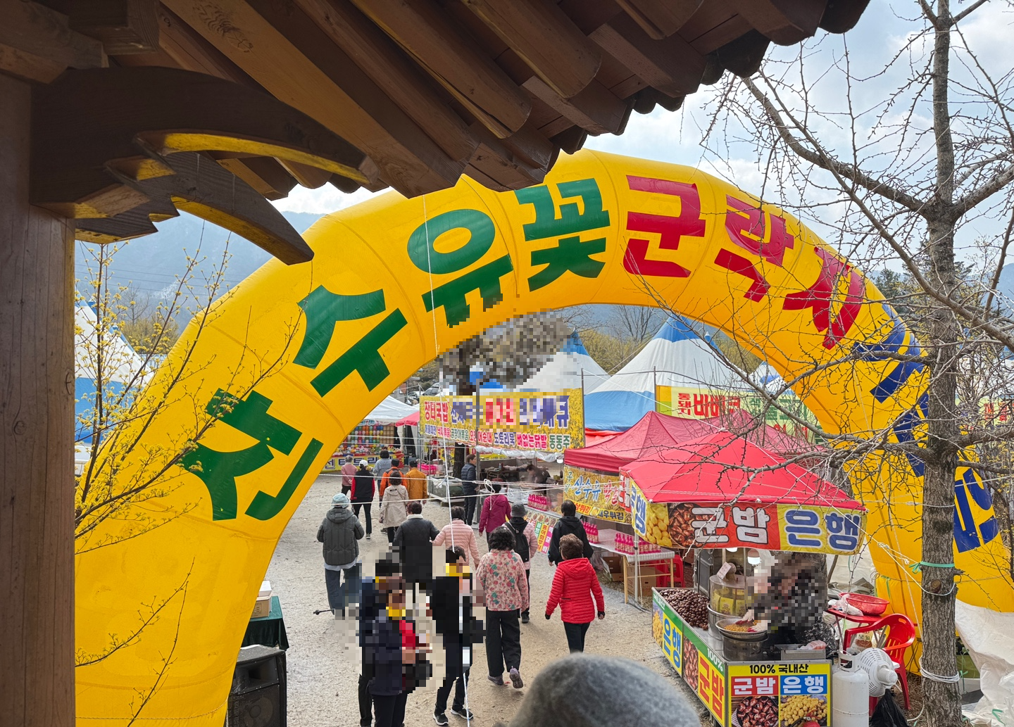 구례산수유축제