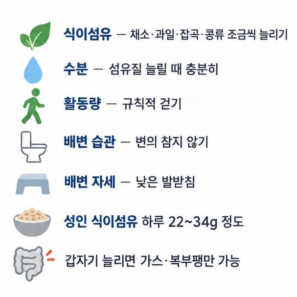 식이섬유 수분 활동량 배변 습관 발받침 사용을 변비 관리 방법으로 정리한 표