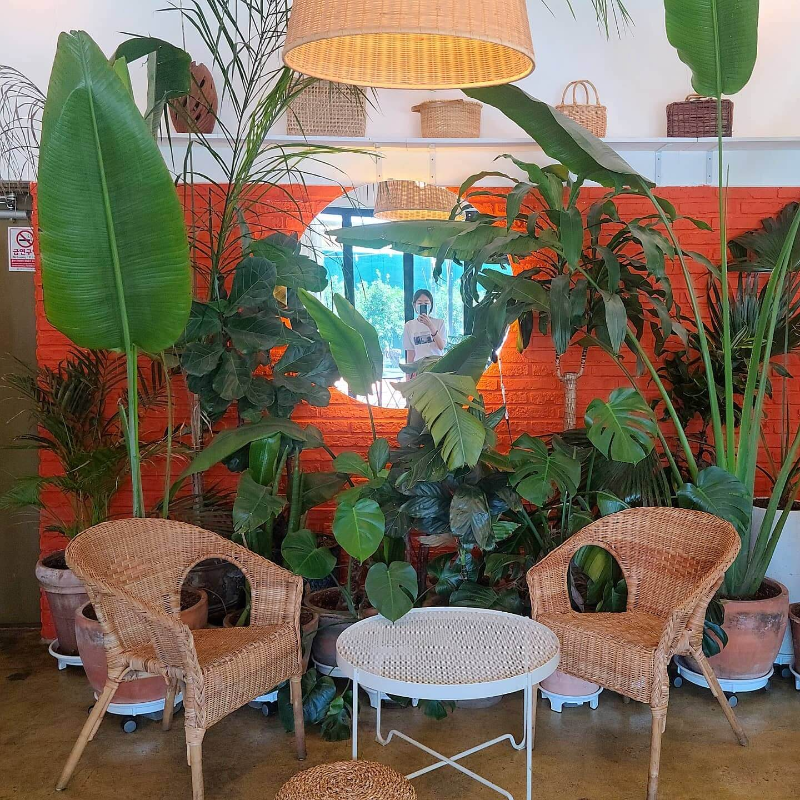 제주도 서귀피안