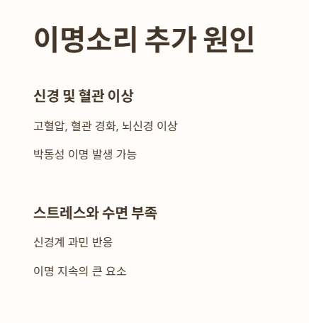 이명소리 추가 원인