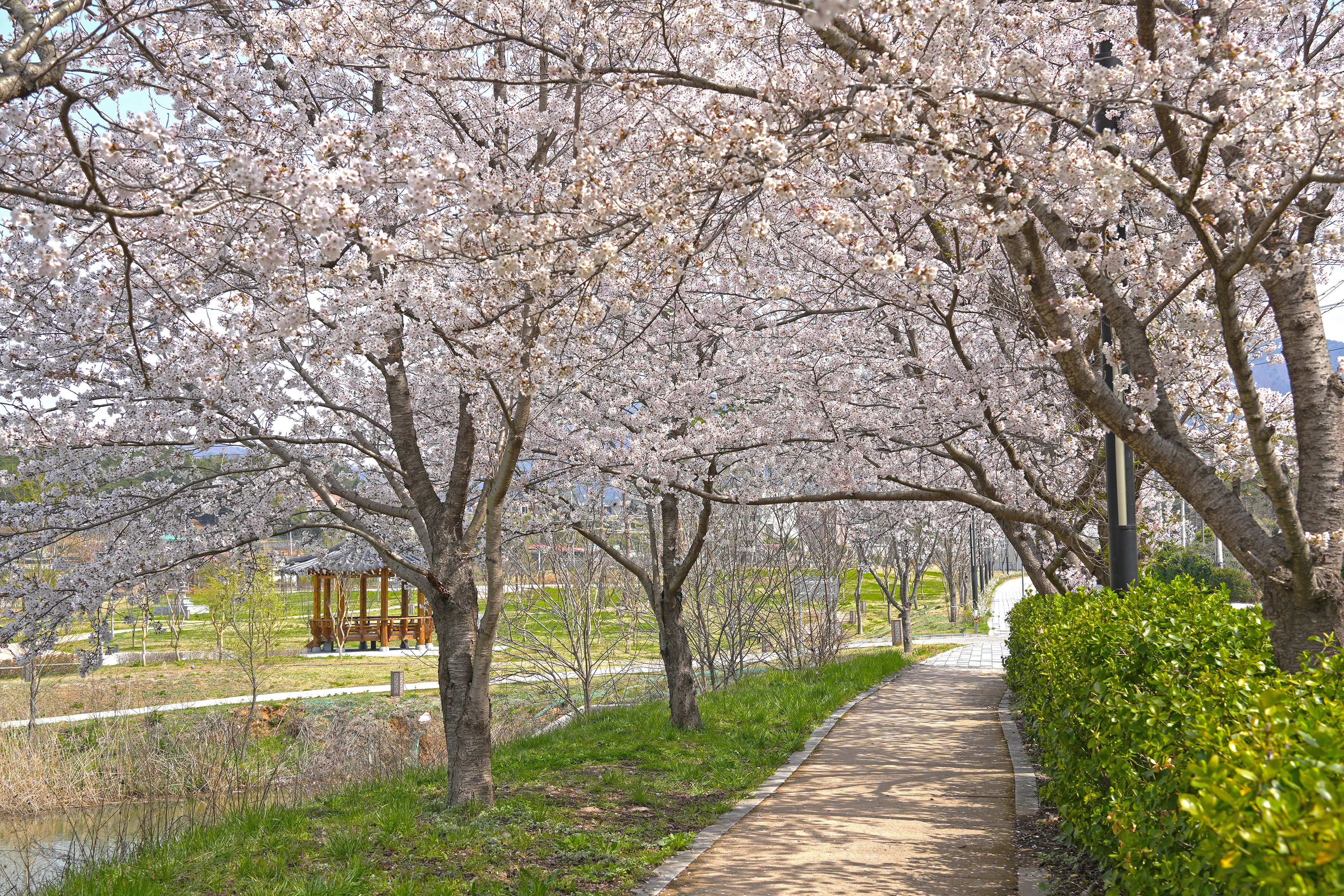 영지 둘레길 관련사진3