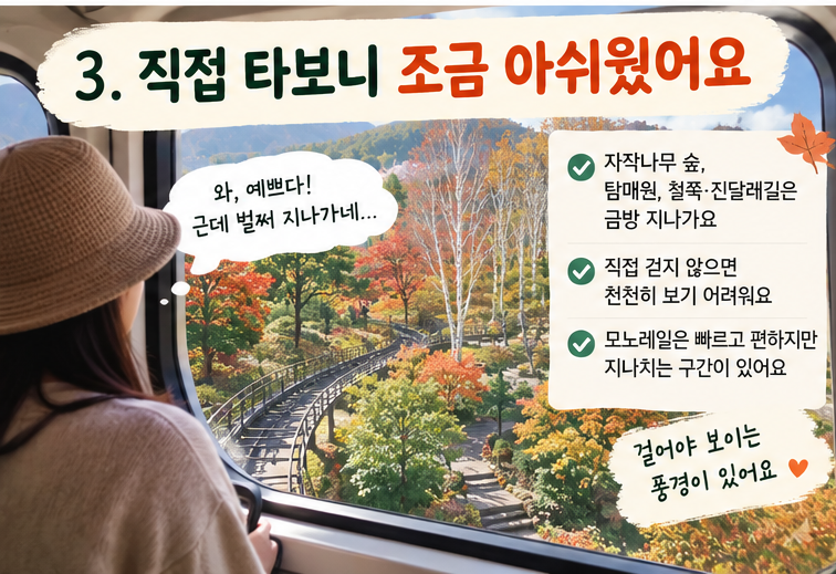 alt="화담숲 모노레일을 직접 타며 자작나무숲과 테마원을 빠르게 지나가는 풍경을 바라보는 모습"