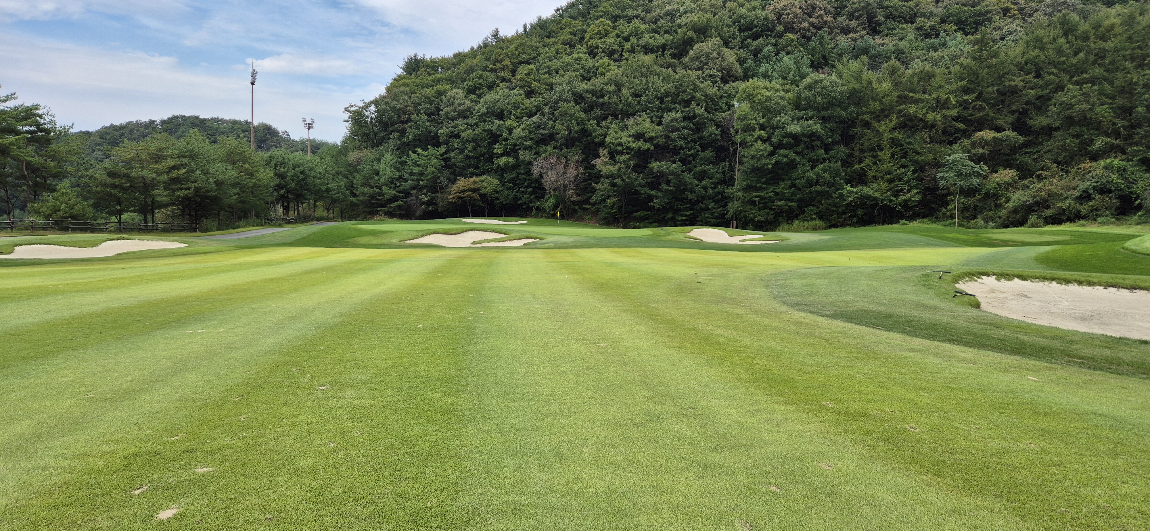 소노펠리체cc이스트