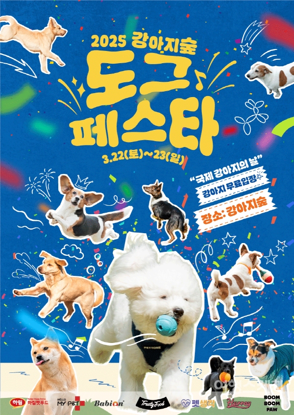 도그페스타 사진