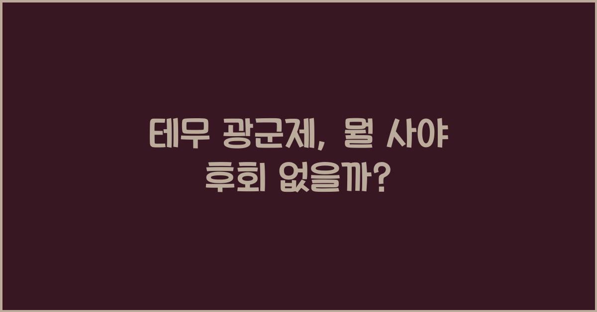 테무 광군제