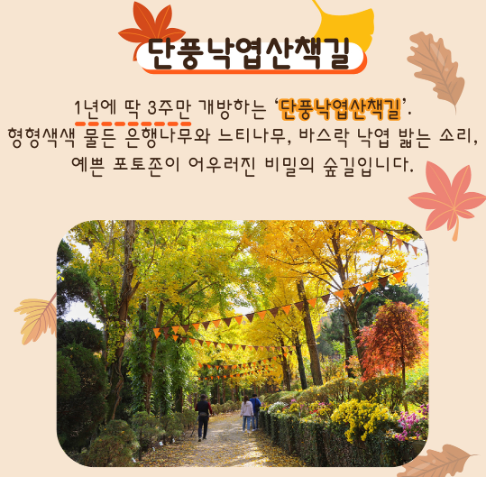 세종 베어트리파크 단풍축제 입장권 예매 방법 가격 행사일정 주차