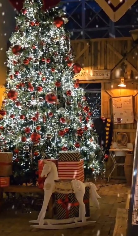 서울 근교 크리스마스트리 예쁜 카페 Best 5