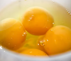 비타민K가 많은 음식