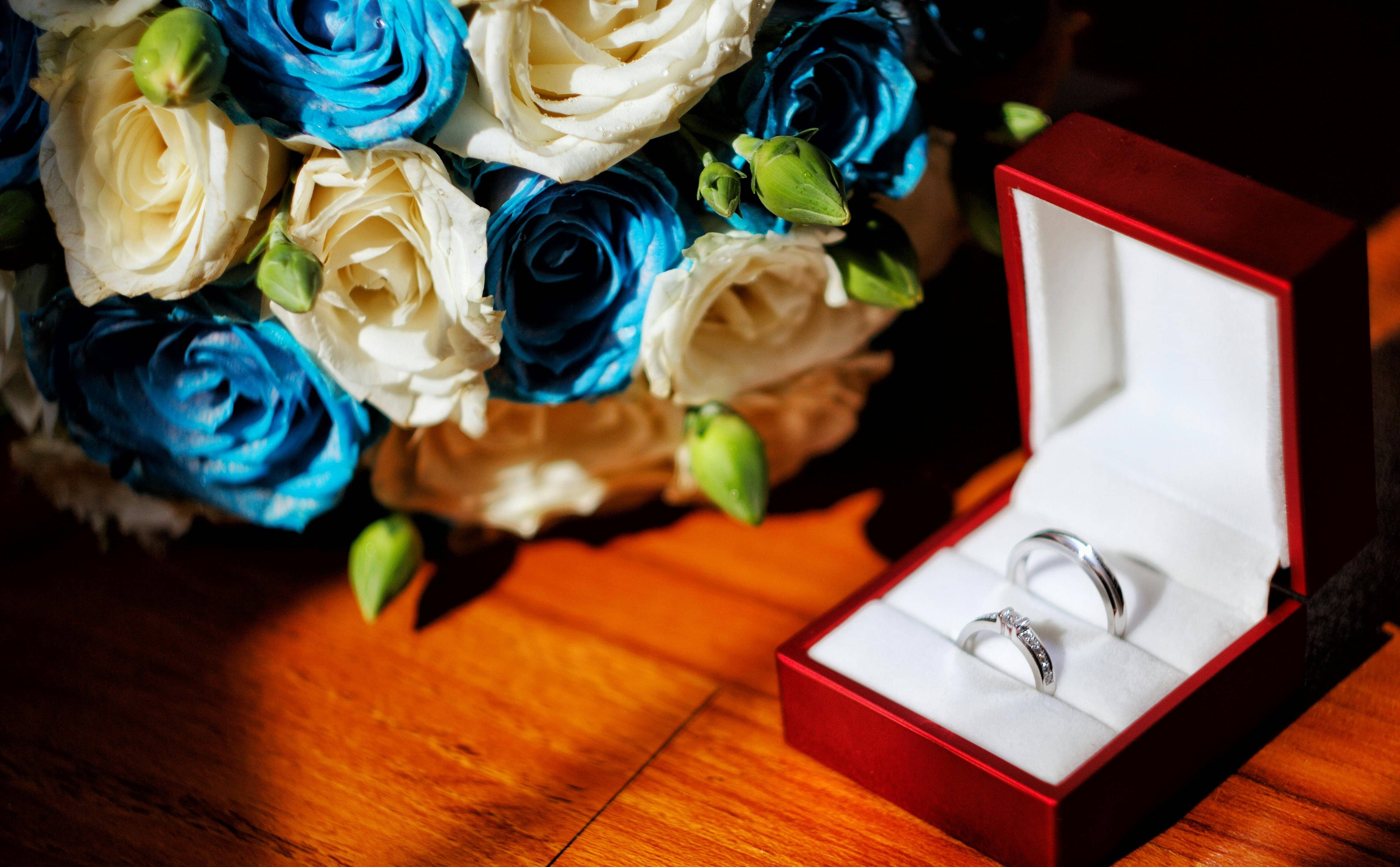 『프로포즈 대작전(プロポーズ大作戦)』