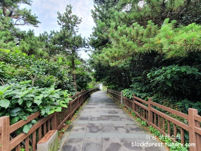 성산일출봉 내려가는길