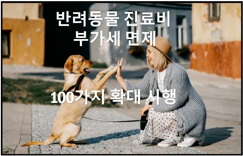 반려동물부가세면제