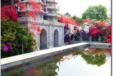 강진 서부해당화 봄꽃 축제