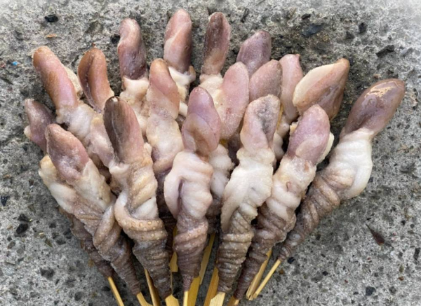 12월음식 낙지