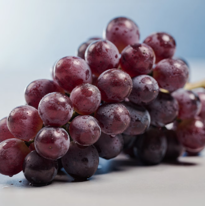 폐에 좋은 음식 10