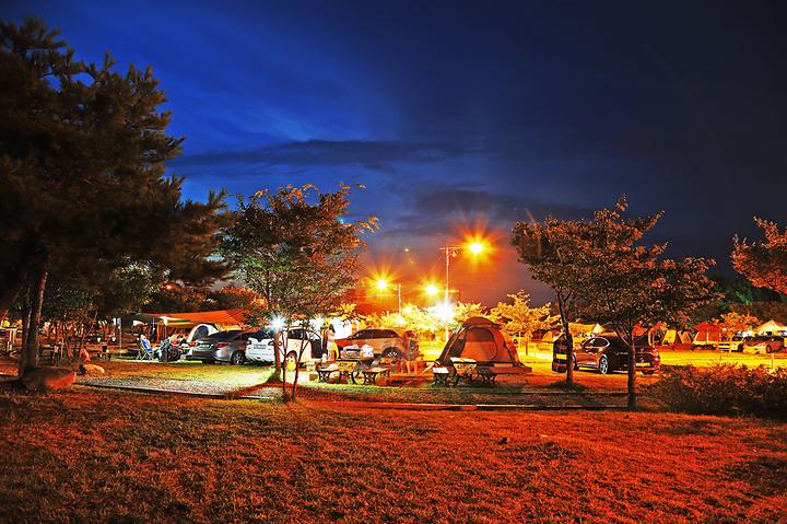 레전드 캠핑장 송지호오토캠핑장 소개