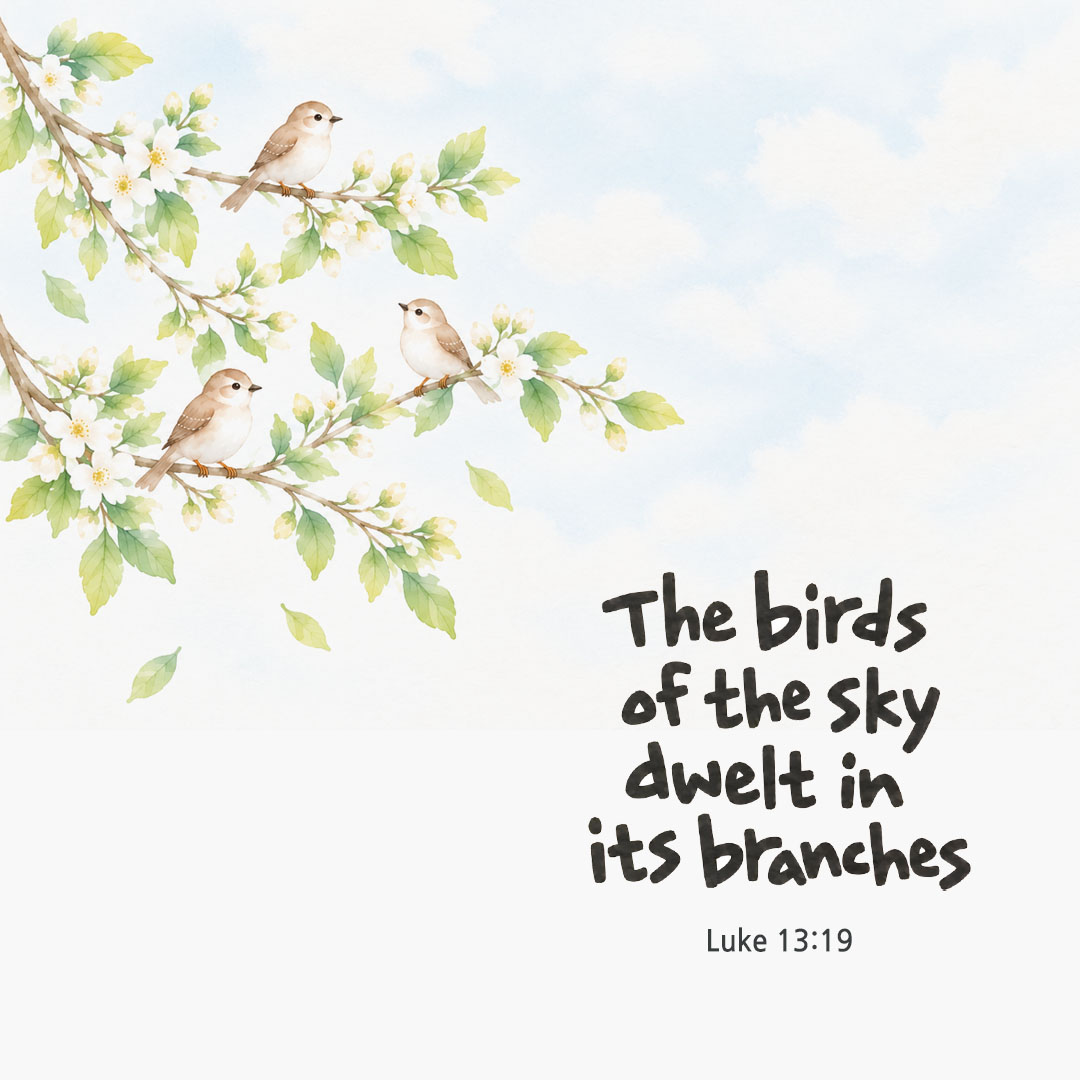 The birds of the sky dwelt in its branches. (Luke 13:19) English Bible verse card