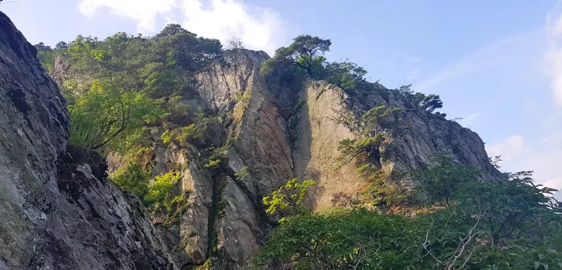 청도 복호산