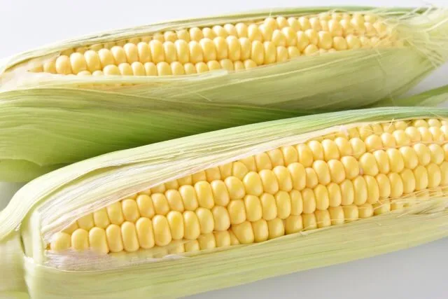 혈당이 오르는 것을 막는 옥수수 효능