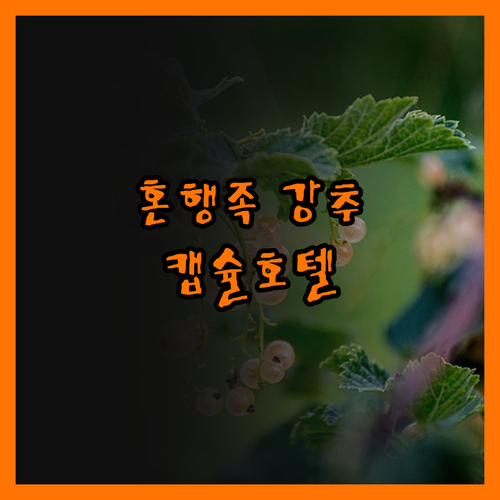 더 포드 부티크 캡슐 호텔, 혼행족