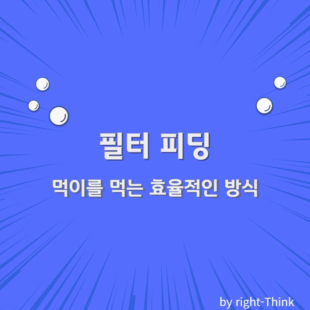 필터 피딩: 먹이를 먹는 효율적인 방식