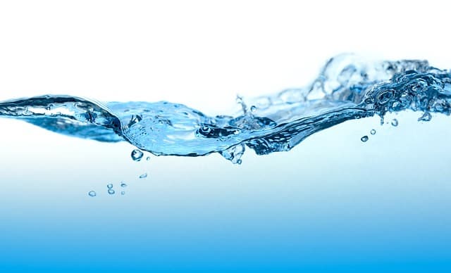 아쿠아포닉스(Aquaponics) – 친환경 수경재배와 양식업의 결합