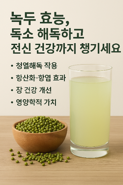 녹두 효능 독소 해독하고 전신 건강까지 챙기세요
