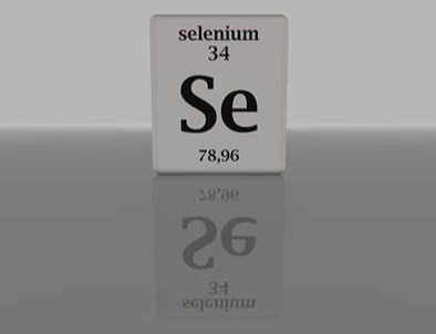 셀레늄